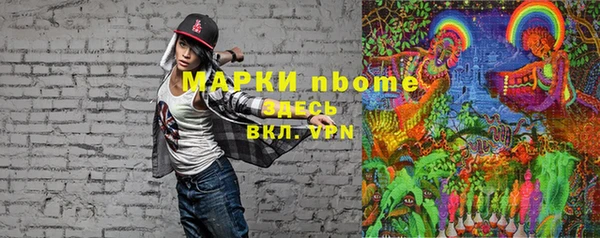 индика Арсеньев