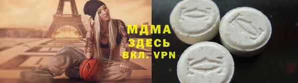 индика Арсеньев