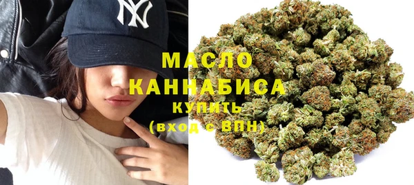индика Арсеньев