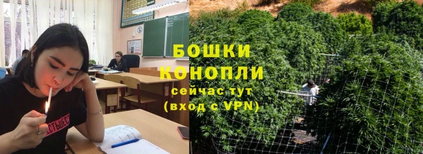 индика Арсеньев