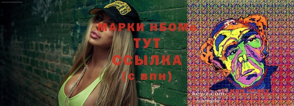 индика Арсеньев