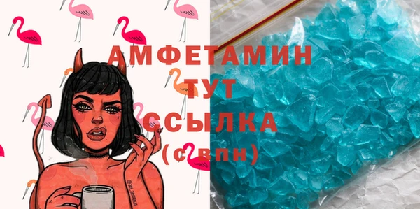 индика Арсеньев