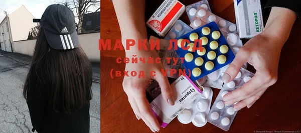 индика Арсеньев