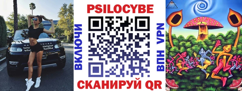 Купить где  Судогда  Галлюциногенные грибы Cubensis 